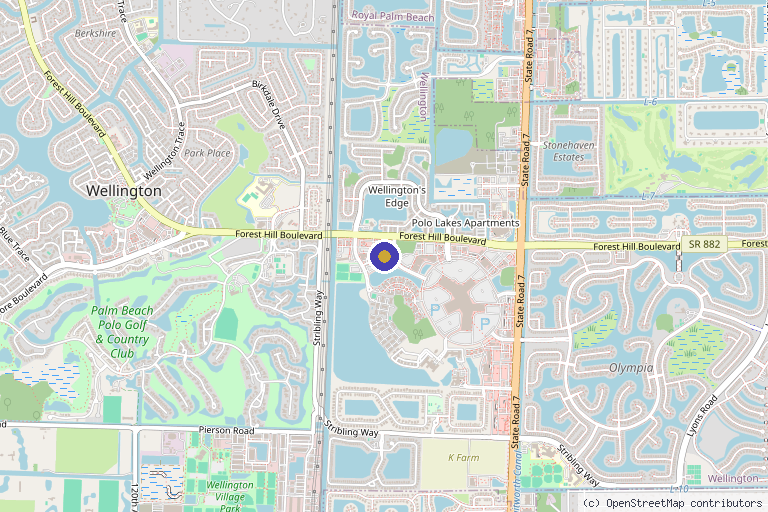 Map showing the location of 4Ever Young Anti Aging Solutions in Wellington, FL