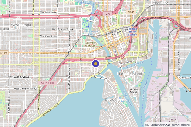 Map showing the location of Tampa Bay Total Wellness Anti Aging Med Spa in Tampa, FL