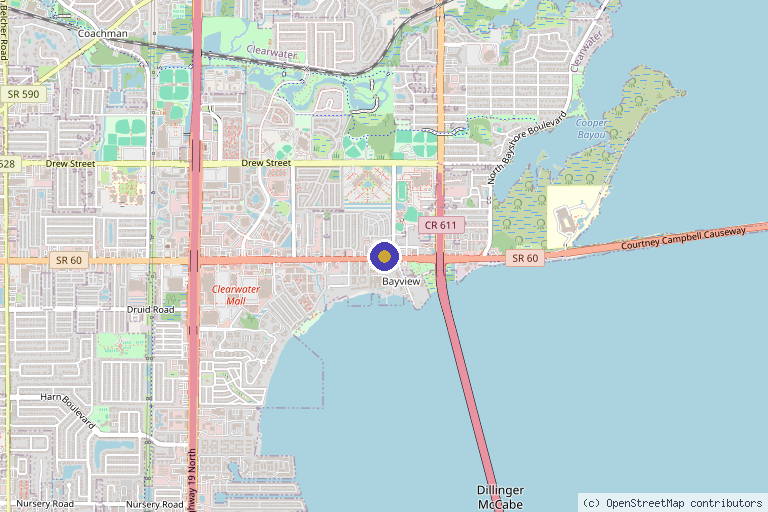 Map showing the location of Skinology Wellness & Aesthetics in Clearwater, FL