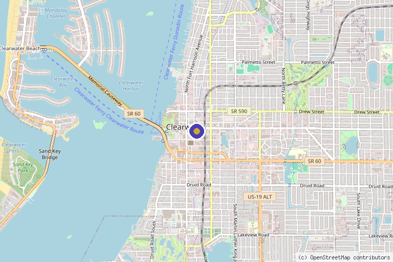 Map showing the location of BLISS Medical in Clearwater, FL