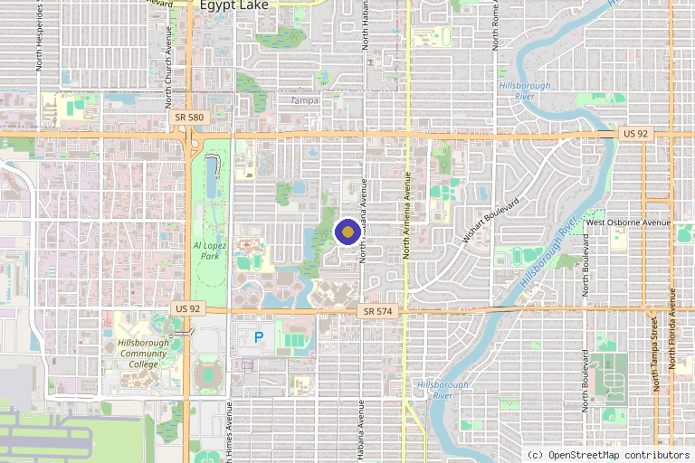 Map showing the location of Ageless Vitality Center in Tampa, FL