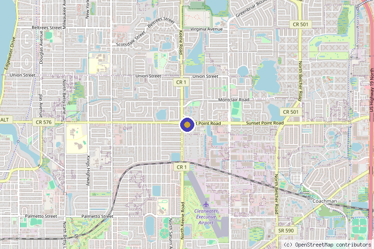 Map showing the location of NATURAL HEALTH ESSENTIALS in Clearwater, FL