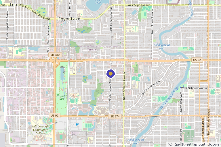Map showing the location of Regenerative Health Centers of Florida in Tampa, FL