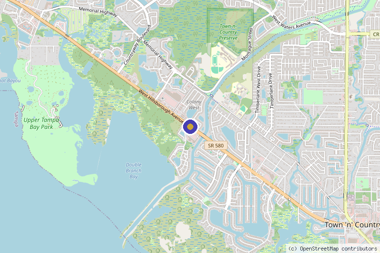 Map showing the location of Navigate Health & Wellness in Tampa, FL