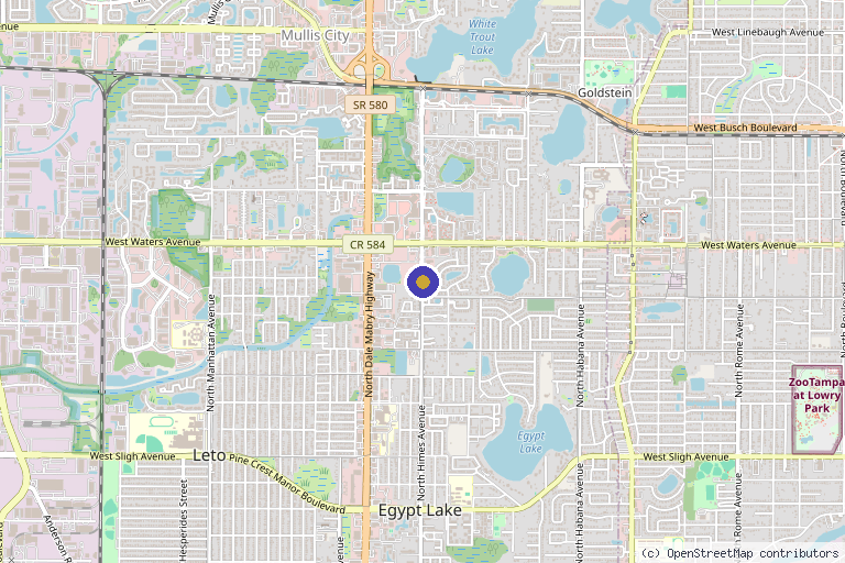 Map showing the location of Regenerative Orthopedic Institute in Tampa, FL