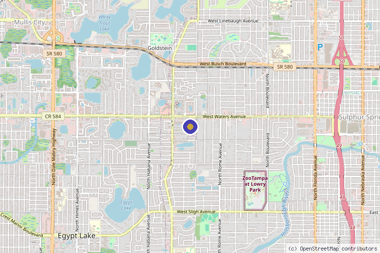 Map showing the location of Mattos Medical Group in Tampa, FL