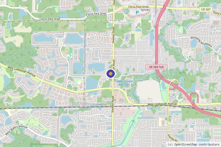 Map showing the location of Tampa Regenerative Therapy in Tampa, FL