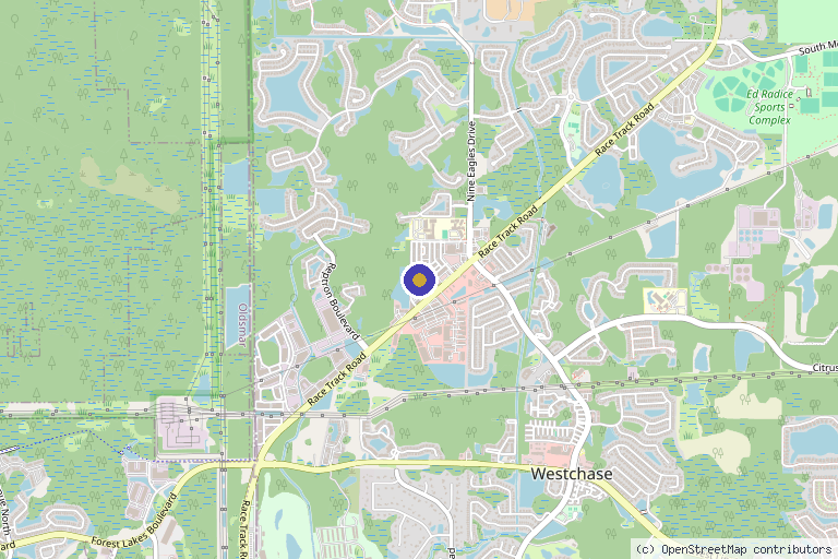Map showing the location of Quantum VSEL Stem Cell Therapy in Tampa, FL