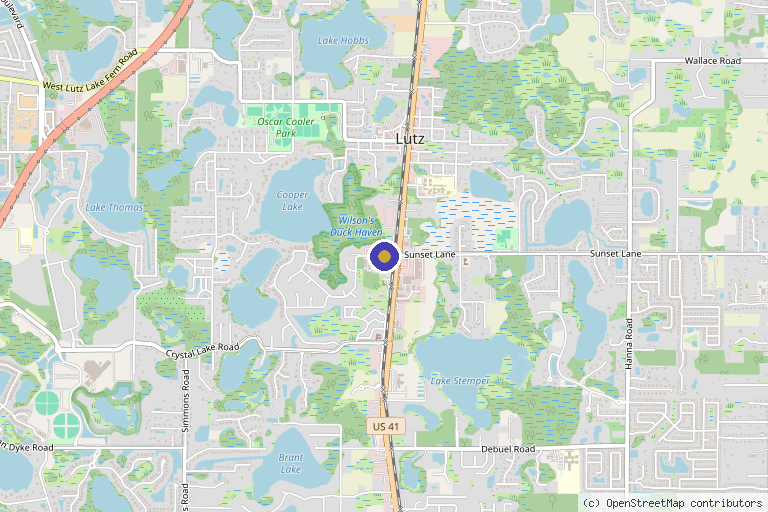 Map showing the location of New Life Regenerative Medicine in Tampa, FL