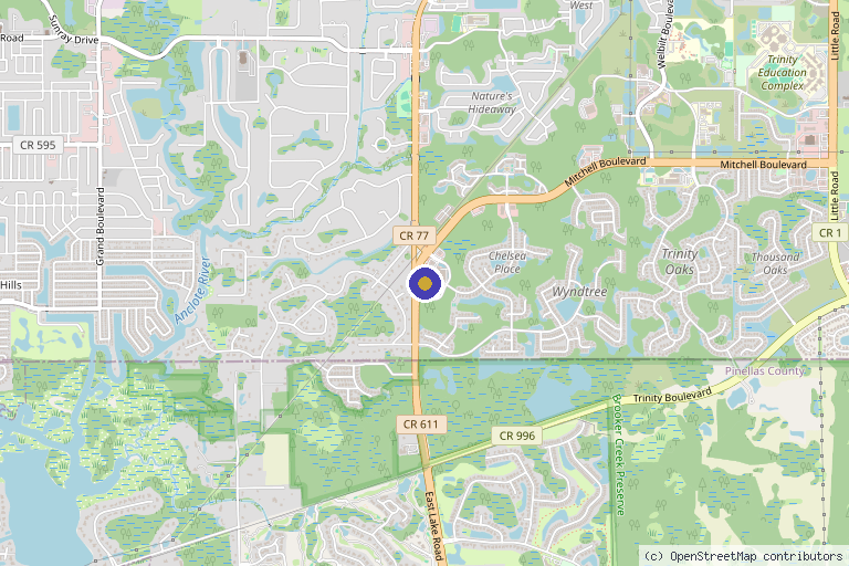 Map showing the location of Trinity Regenerative & Concierge Medicine LLC in New Port Richey, FL