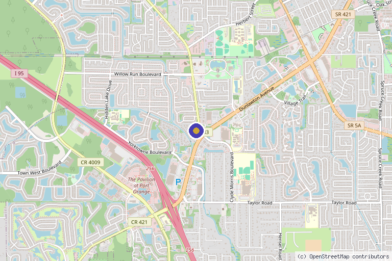 Map showing the location of Natural Health Practices in Port Orange, FL