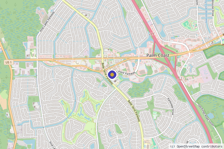 Map showing the location of Amethyst Wellness in Palm Coast, FL