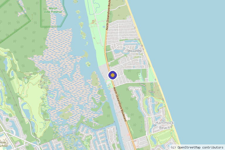 Map showing the location of Oceanshore Aesthetics and Wellness in Palm Coast, FL
