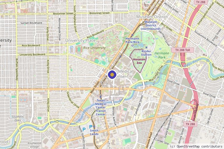 Map showing the location of Center For Cell And Gene Therapy in Houston, TX
