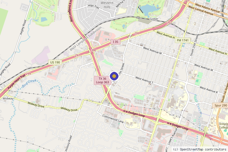 Map showing the location of Healthy Success in Temple, TX