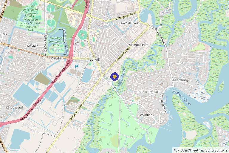 Map showing the location of Ortelio Bosch, MD in Savannah, GA