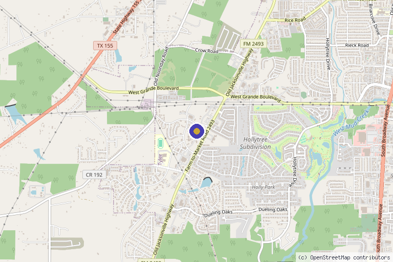 Map showing the location of Skintology Apothecary in Tyler, TX