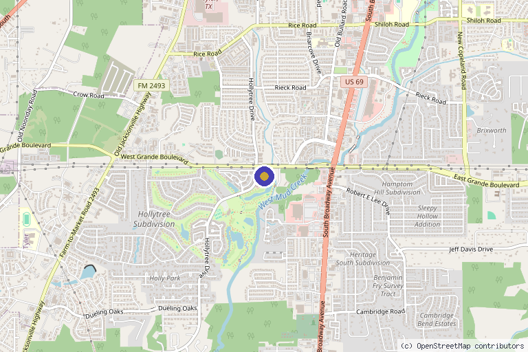Map showing the location of Bliss Aesthetics in Tyler, TX