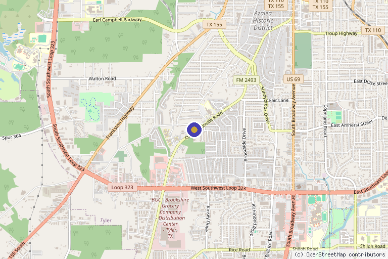 Map showing the location of Smart Choice Medical Clinic in Tyler, TX