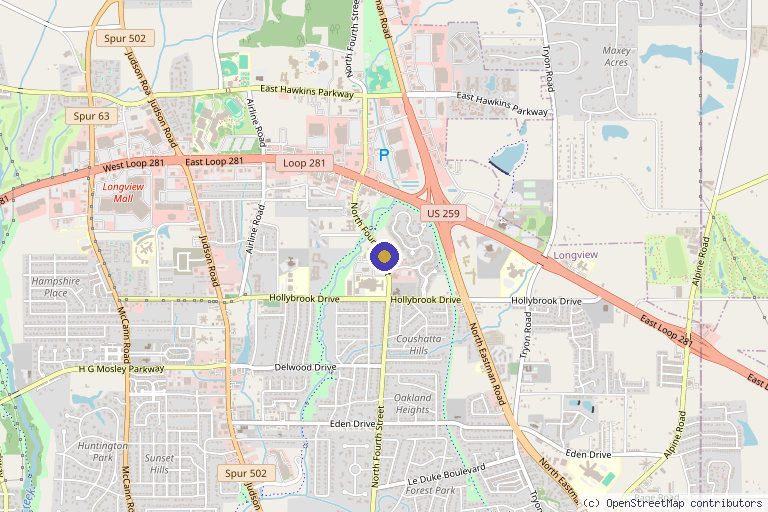 Map showing the location of LONGVIEW SPINE & SPORTS MEDICINE in Longview, TX