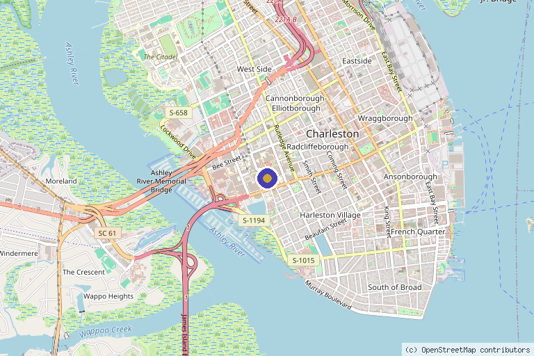 Map showing the location of MUSC Rheumatology & Immunology in North Charleston, SC