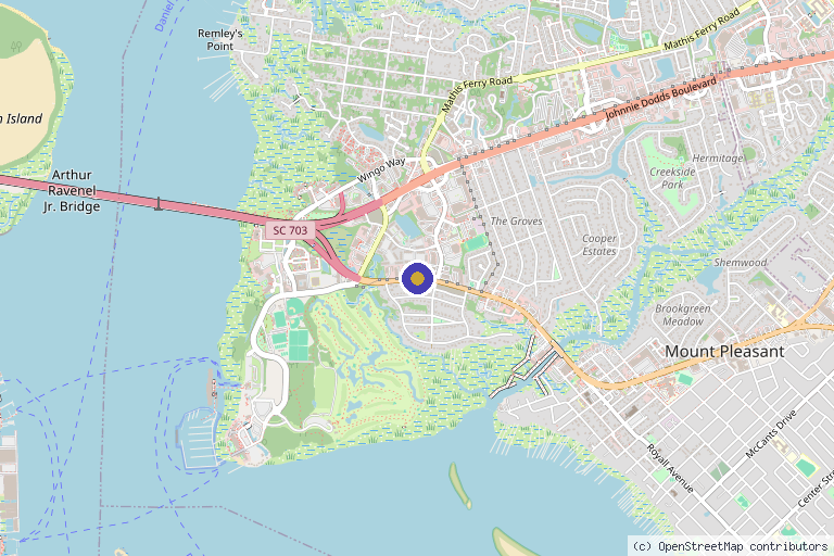 Map showing the location of Better Life Carolinas in Charleston, SC