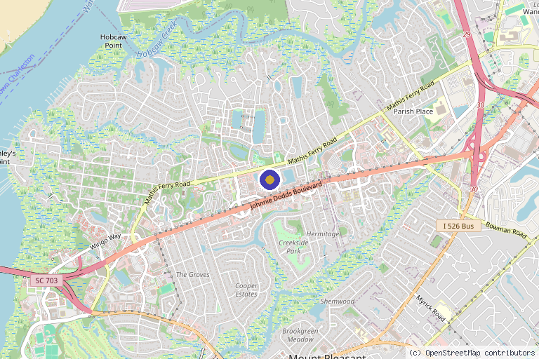 Map showing the location of AesthetiSpa Cosmetic Skin & Laser Center in Mt Pleasant, SC