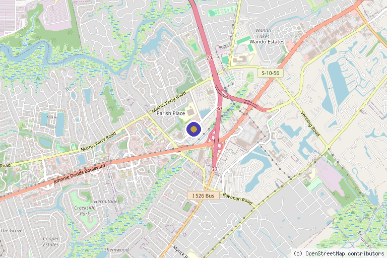 Map showing the location of Remedi Therapeutics in North Charleston, SC