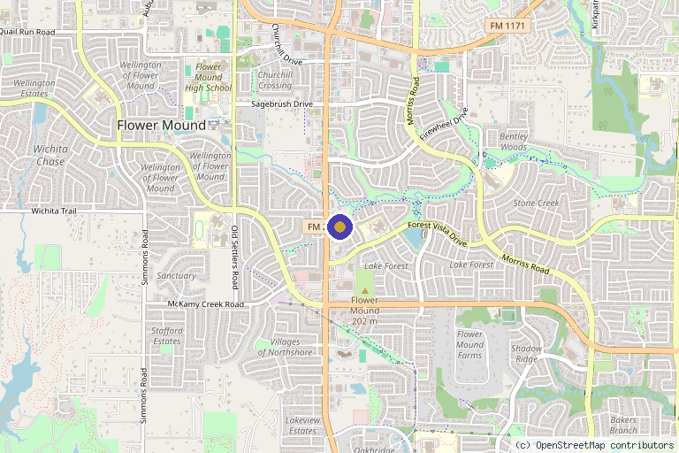 Map showing the location of Timeless Health and Beauty Services in Flower Mound, TX