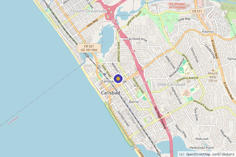 Map showing the location of Revive Naturopathic Medicine, Inc. in Carlsbad, CA