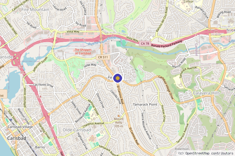 Map showing the location of Vitality Sports Medicine & Rehab in Carlsbad, CA