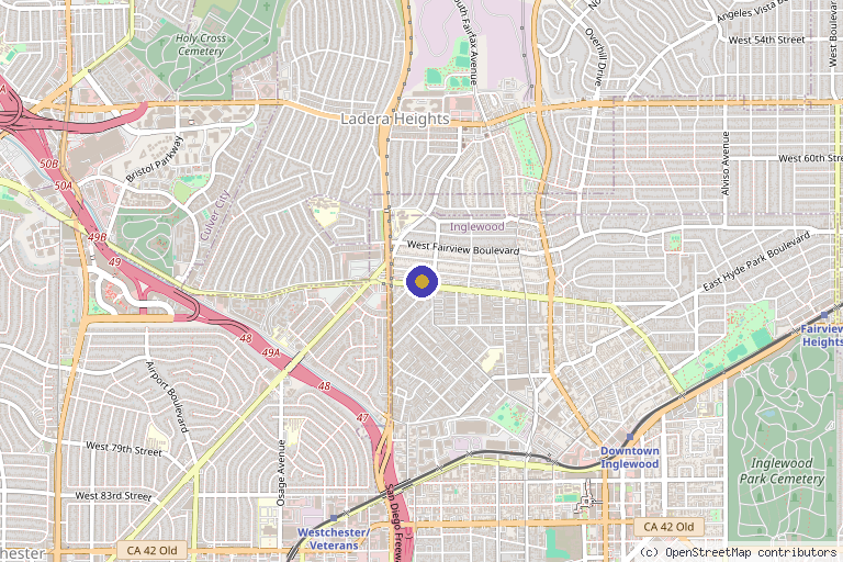 Map showing the location of Mane Wellness Hair Loss Center in Inglewood, CA