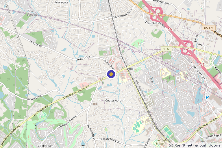 Map showing the location of Vital Glow - Men's & Women's Health in Columbia, SC