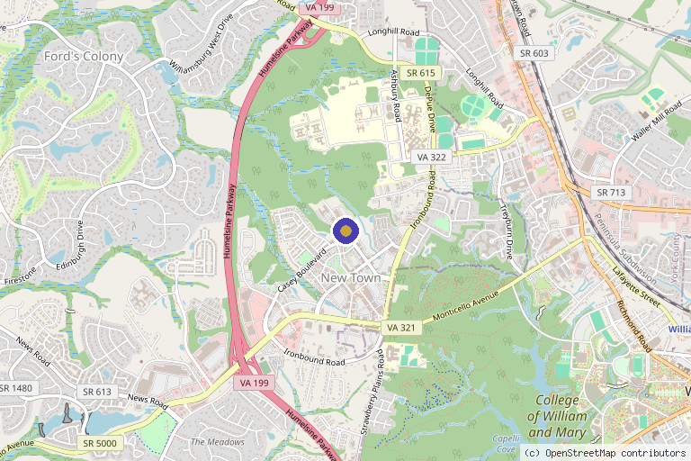 Map showing the location of Virginia Regenerative Therapy in Colonial Heights, VA