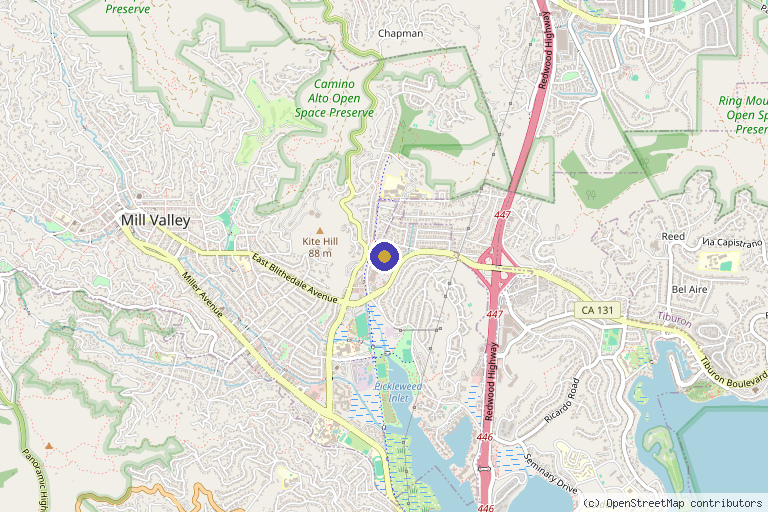 Map showing the location of Rejuvative Therapy in Mill Valley, CA