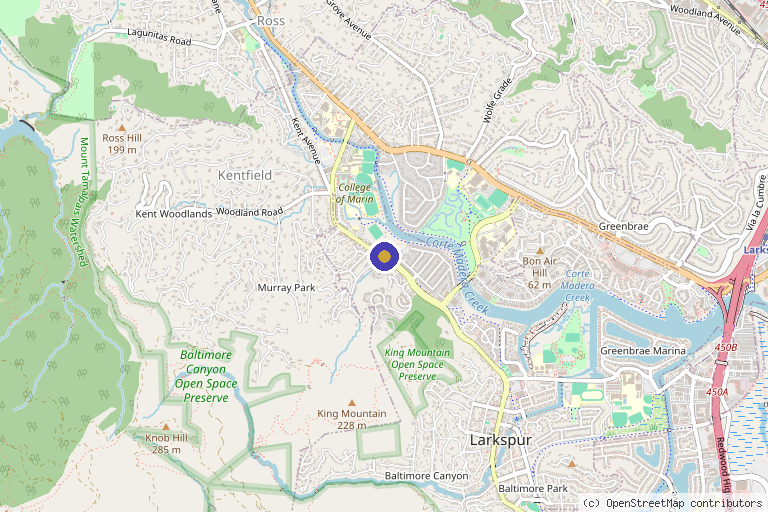 Map showing the location of Mineral Med Spa in Larkspur, CA