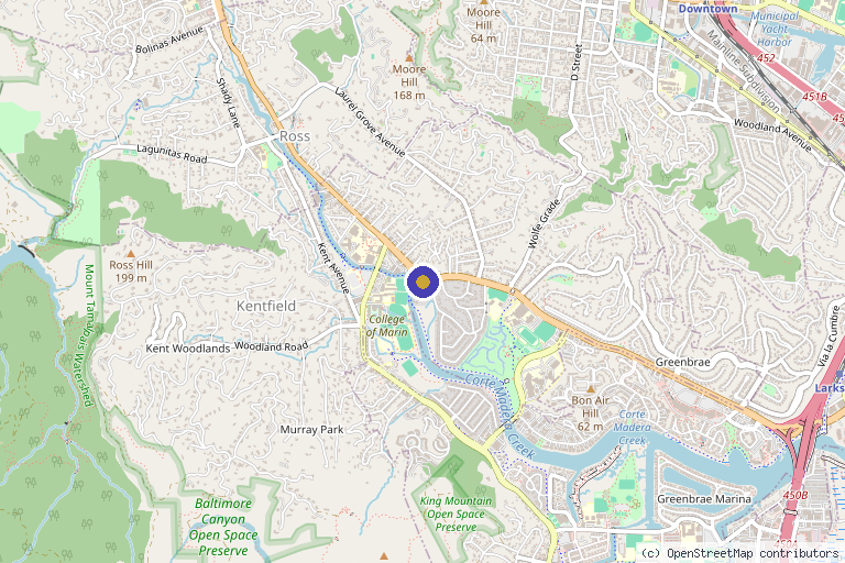 Map showing the location of Bare Skin Marin in Kentfield, CA