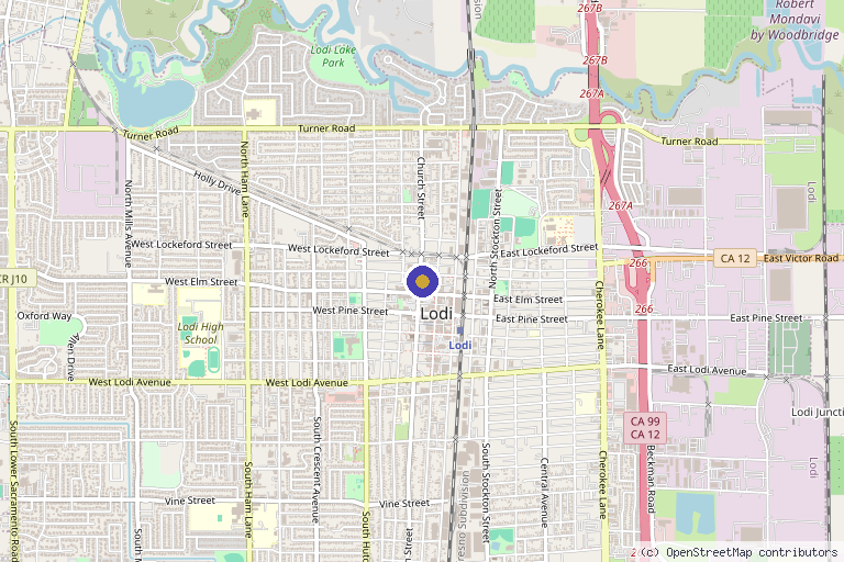 Map showing the location of Goldie & Co Skin Medicine in Lodi, CA