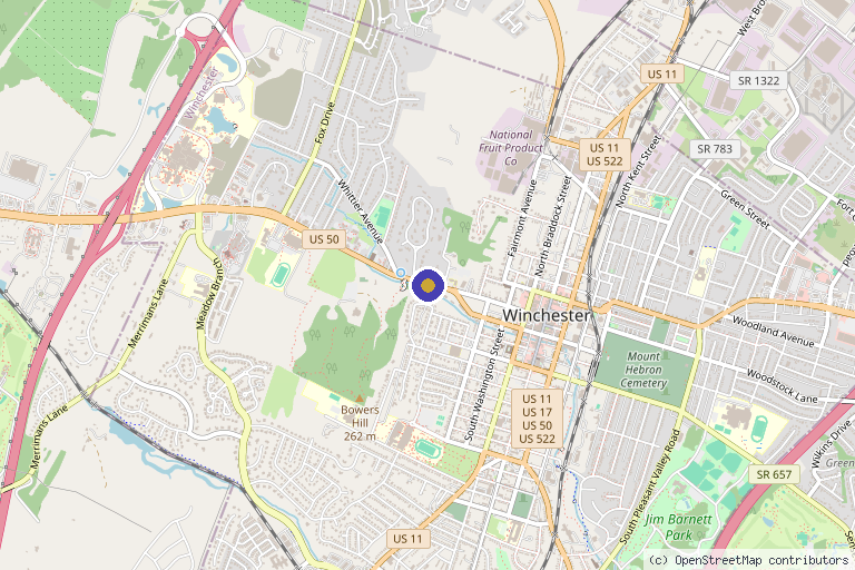 Map showing the location of National Spine and Pain Centers – Alok Gopal, MD in Winchester, VA