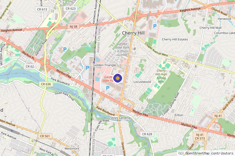 Map showing the location of Dynamic Recovery & Restore (Mobile IV Therapy) in Cherry Hill Township, NJ