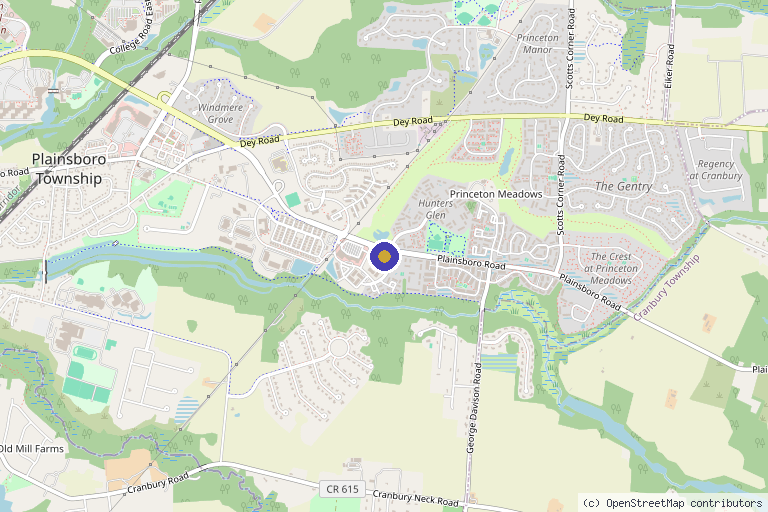 Map showing the location of Regenerative Spine and Pain Institute in Plainsboro Township, NJ