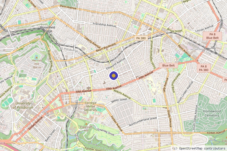 Map showing the location of The Skin Center in Pittsburgh, PA
