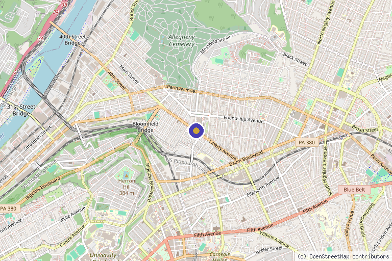 Map showing the location of Division of Hematology and Cellular Therapy in Pittsburgh, PA