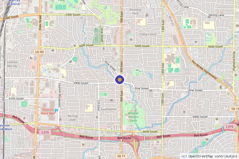 Map showing the location of Rise Rejuvenation Center in Murray, UT