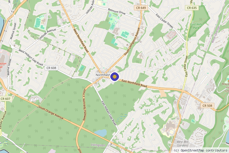 Map showing the location of BERLIN BEAUTY Medical Aesthetics in Livingston, NJ