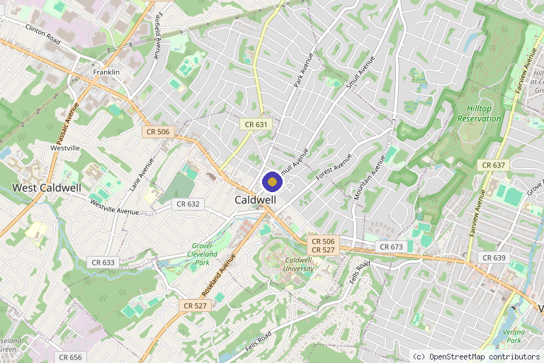 Map showing the location of Warren J. Bleiweiss, MD in Newark, NJ