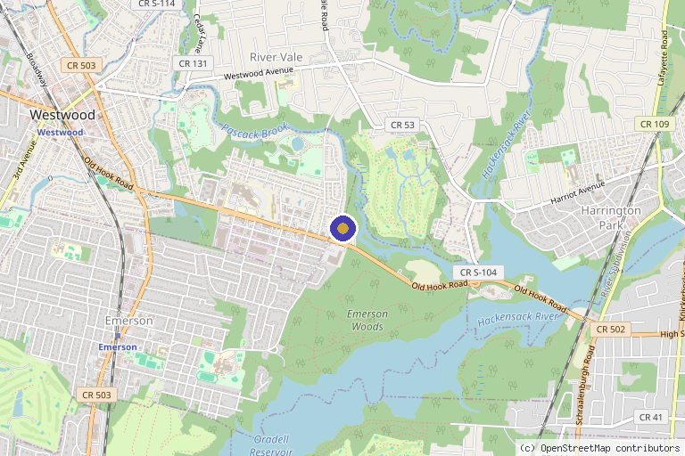 Map showing the location of Dr Alla Brouk MD in Emerson, NJ