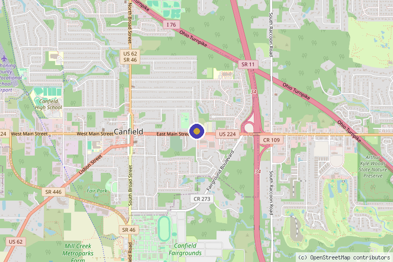 Map showing the location of Vital Evolution in Canfield, OH