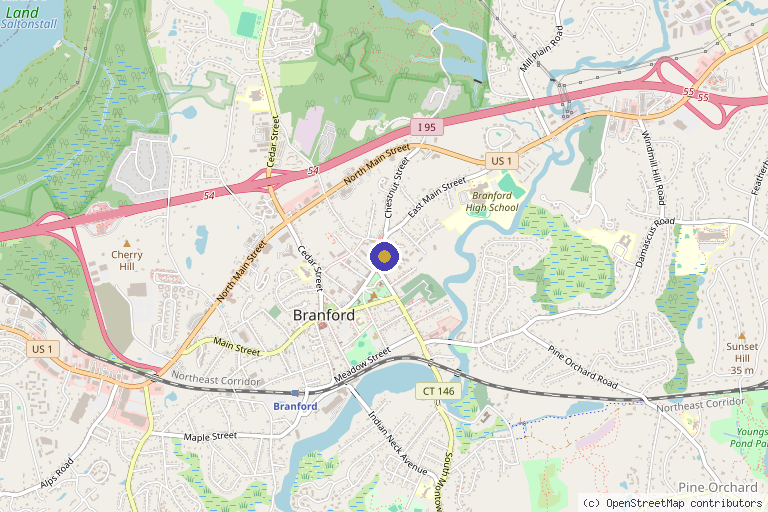 Map showing the location of Pure Skin MedSpa of Branford in Branford, CT