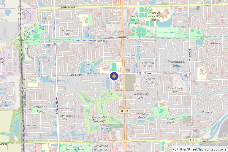 Map showing the location of true MEDSPA in Naperville, IL